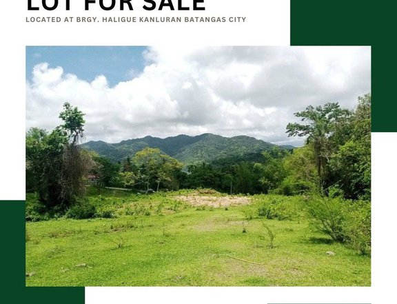 100 sqm Residential Lot For Sale in Batangas City Batangas