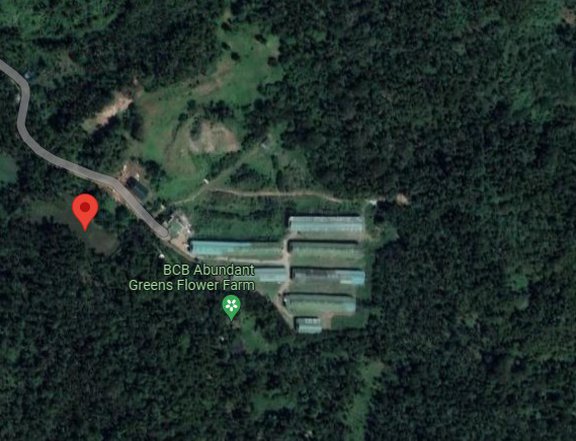 3 Hectares  Farm Lot for Sale in Brgy Tiawe Lucban Quezon