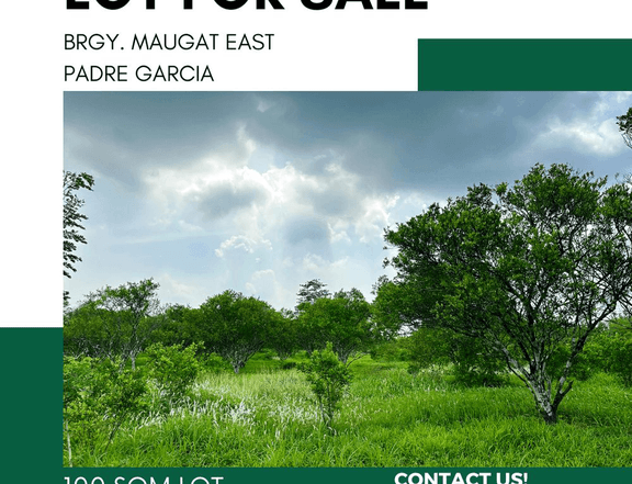 Residential Lot For Sale in Padre Garcia Batangas