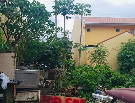 Lot for Sale in Camella at Dos Rios Cabuyao Laguna