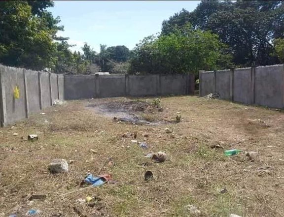 Titled lot for sale in Liloan concrete fully fence