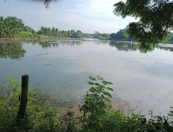 2.4-hectare Farm Lot with Brackish Fishpond and a House (Lucena City, Quezon)