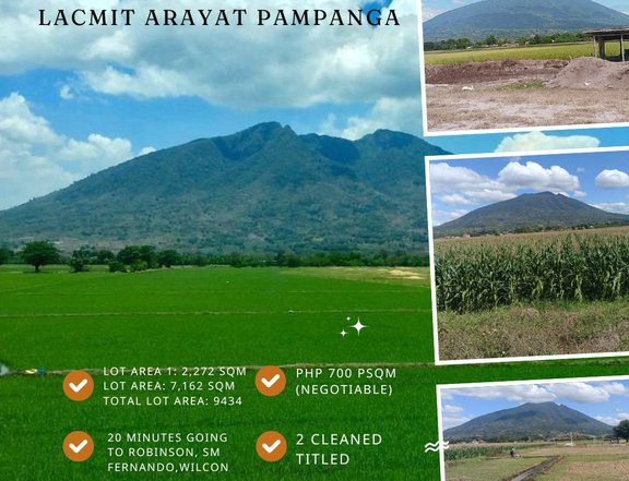 9,434 sqm Agricultural Farm For Sale in Arayat Pampanga