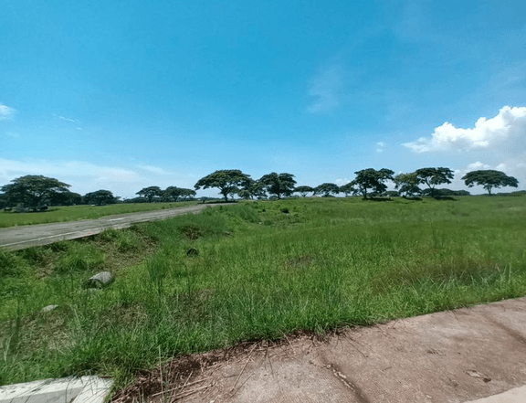 Residential Lot For Sale in Tanza Cavite