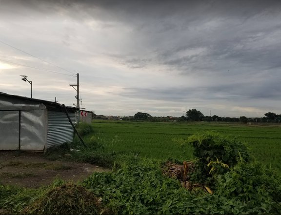 27,000 sq.m Residential Farm Land for Sale in General Trias Cavite