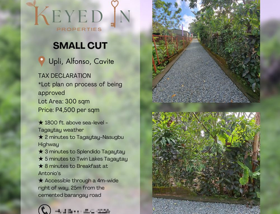 300sqm COOL FOGGY WEATHER lot 2-3 mins to SPLENDIDO TAGAYTAY for sale!