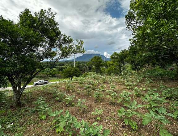 FARM LOT FOR SALE DOLORES, QUEZON