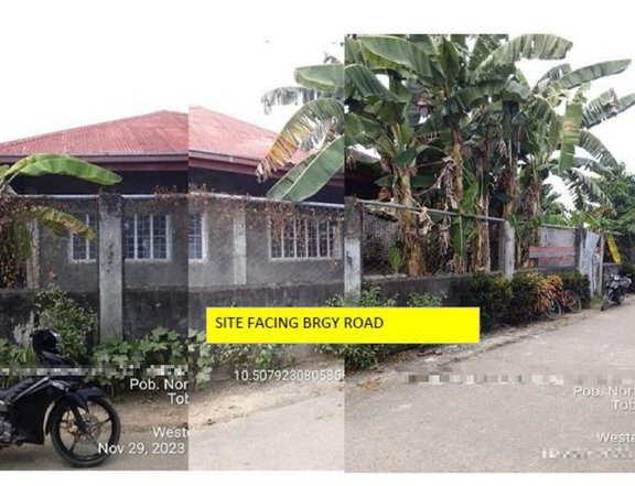 HOUSE FOR SALE IN BRGY. BAGUMBAYAN, TOBIAS FORNIER (DAO), ANTIQUE