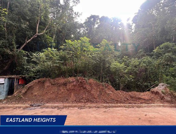 11,000/sqm Eastland Heights lot for Sale