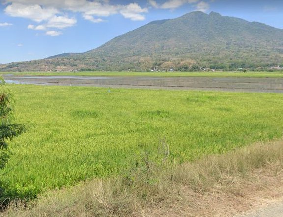 Arayat Pampanga Farm Lot (Rice Fields)