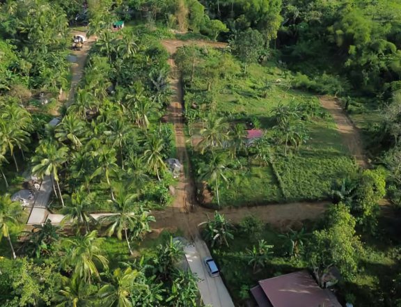 300 sqm Residential Farm For Sale in Alfonso Cavite