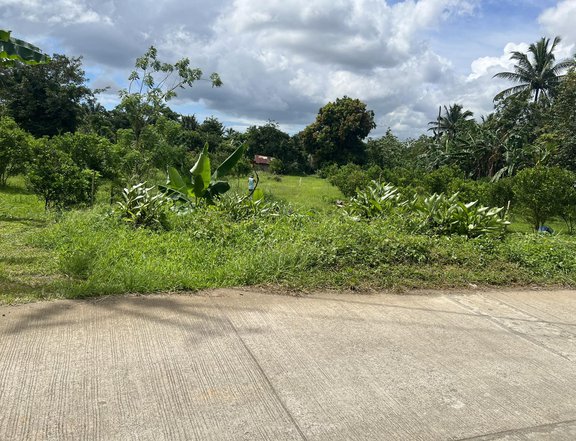 COOL CLIMATE FARM LOT FOR SALE IN ALFONSO NEAR TAGAYTAY
