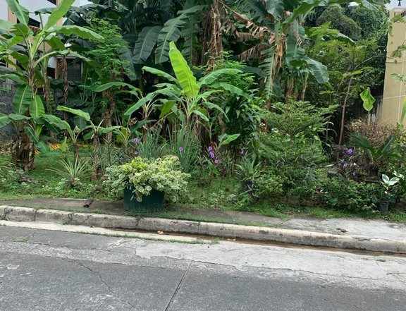 201sqm residential lot FOR SALE in Pasig City, MMla
