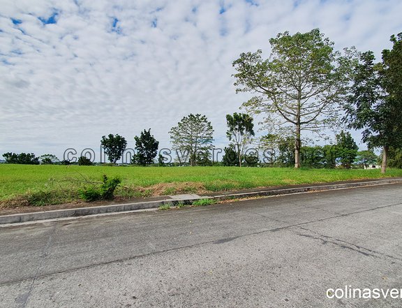 201 sqm Residential Lot For Sale in Colinas Verdes