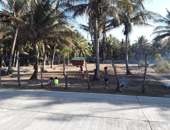 Bolinao Lot 2750 square meters 30 meters near the sea!