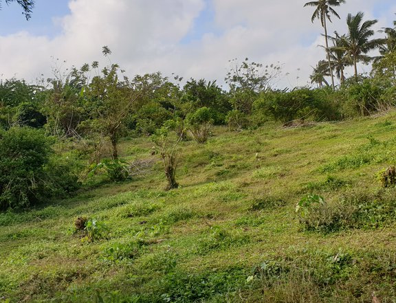 Farm lot with high altitude in Alfonso Cavite for sale