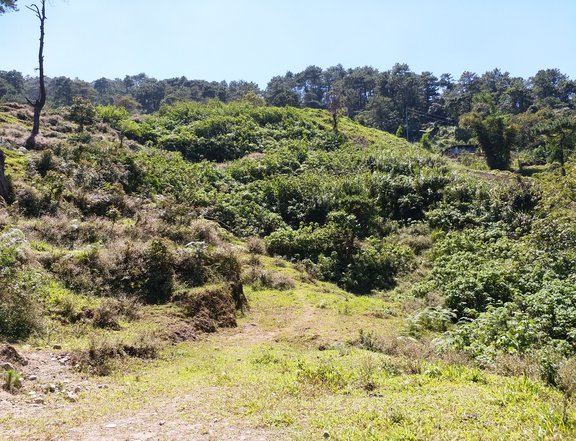 150 sqm Residential Lot For Sale in Baguio City Economic Zone Baguio