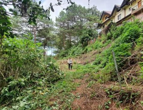 350 sqm Residential Lot For Sale in Baguio City Economic Zone Baguio