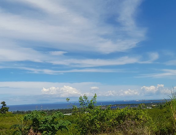 Nice Seaview Lot in Overlooking Subdivision Compostela Cebu 20mins SM