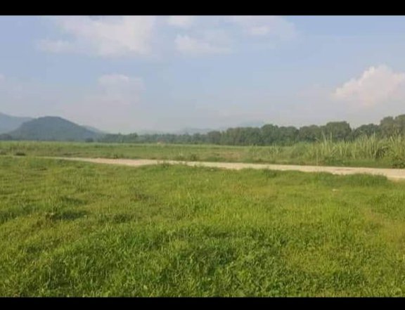 450 sqm Agricultural Farm For Sale in Nasugbu Batangas