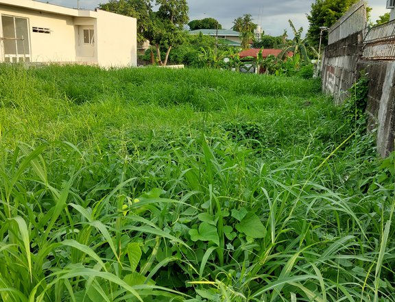 Vacant lot for sale in Malacanang Village, Paranaque city