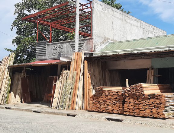1734sqm Commercial  lot  For Sale in Santo Tomas Davao del Norte