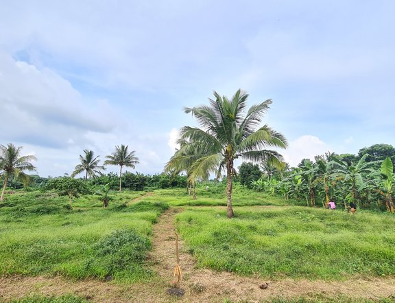 TITLED RESI-FARM LOTS FOR SALE in AMADEO CAVITE, near Tagaytay & Hiway