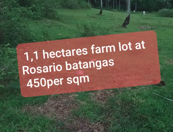 11,000sqm at rosario batangas Farm Lot for sale,at 450per sq.m