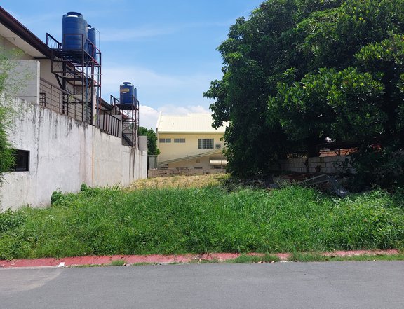 355 sqm Residential Lot For Sale in Moonville, Paranaque Metro Manila