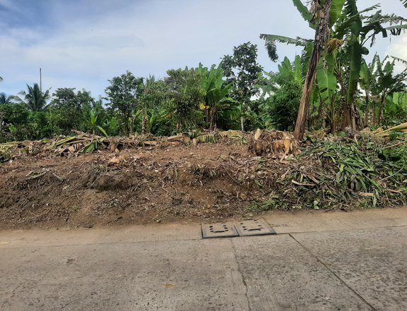 150sqm Residential Lot for Sale in Silang Cavite