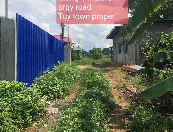 Brgy luna tuy batangas residencial farm 400sqm for sale for 1million