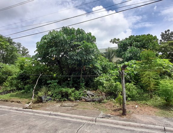 Nice 150sqm Subd Lot Primavera Hills near Gate 15 mins SM Lacion, Cebu