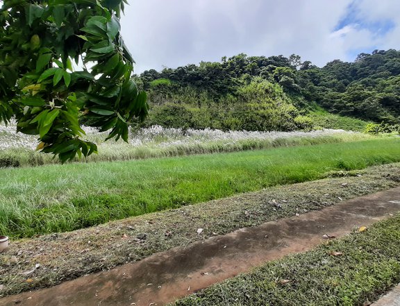 250 sqm Residential Lot For Sale in Twin Lakes