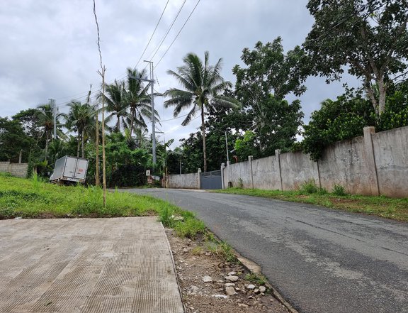 120 sqm Lot For Sale in Bucal Amadeo Cavite