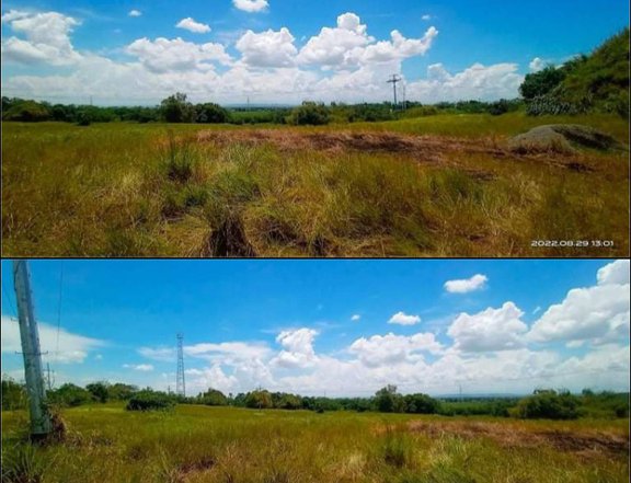 39466 sqm Agricultural Lot For Rush Sale in Iguig Cagayan