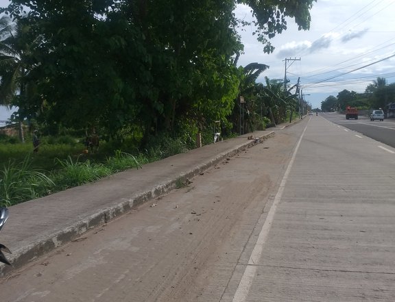 3500 sqm Commercial Lot For Sale in Bacong Negros Oriental