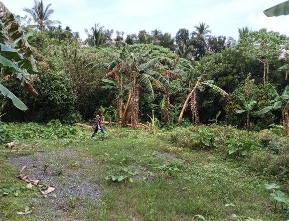445 sqm Residential Farm For Sale in Indang Cavite