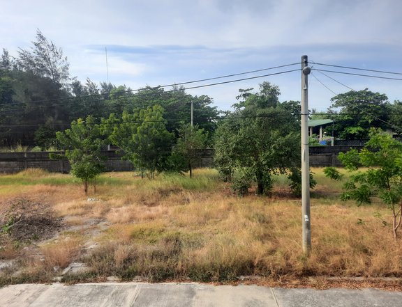 135 sqm Residential Lot For Sale in Dagupan Pangasinan 20K only RF