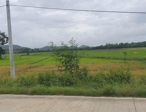 30,000 sqm agricultural farm for sale in el nido (bacuit)palawan