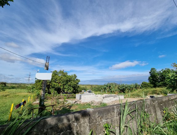 1.1 hectare Lot for Sale in Dasmarinas Cavite