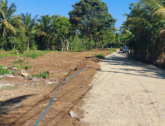 FARM RESIDENTIAL LOT IN MENDEZ CAVITE 5YRS TO PAY