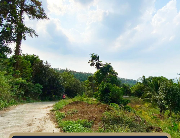 For Sale: 2.1 Hectares Farm Lot with Taal Lake View in Lipa, Batangas