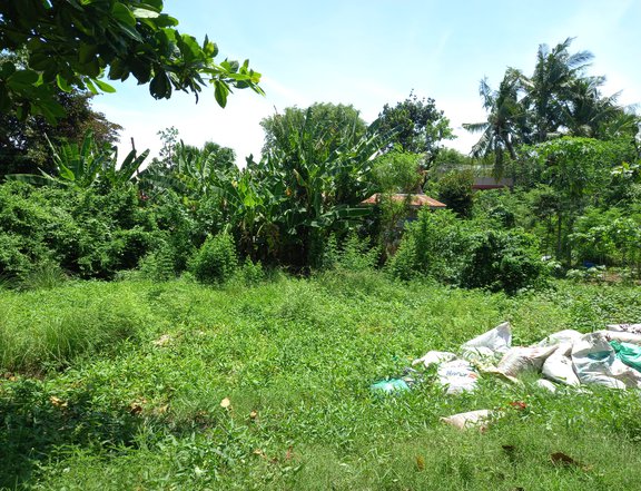 LOT FOR SALE INSIDE SUBDIVISION