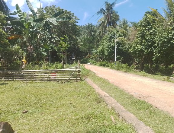 1.2 hectares Residential Farm For Sale in Sagay Camiguin