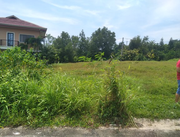 252 sqm Residential Lot For Sale in Angono Rizal