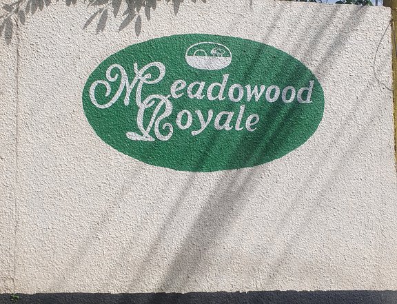 124 sqm MEADOWOOD ROYALE lot for sale Antipolo Marikina