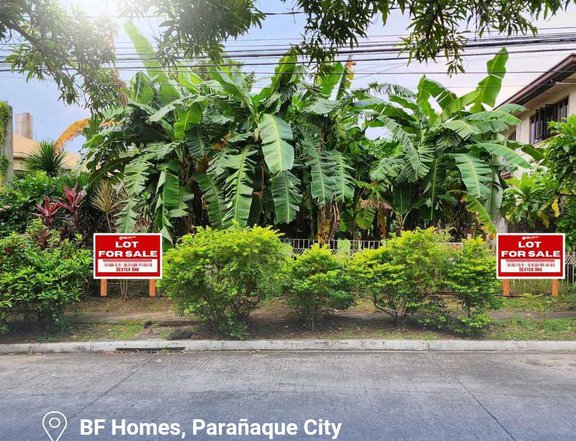 350 sqm Residential Lot For Sale By Owner in Paranaque Metro Manila