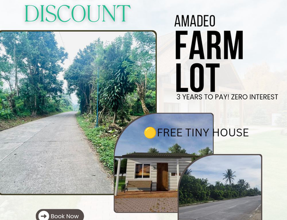 FREE TINY HOUSE..FREE TRANSFER OF TITLE Residential Farm Lot in Amadeo