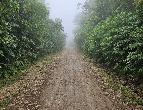 1.8-Hectare Overlooking Property Near Future Divine Mercy Shrine in Tayapok, Samal Island