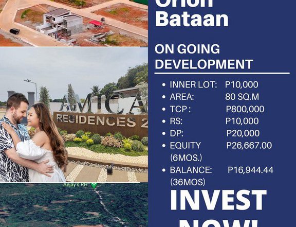 High end Subdivision in Orion Bataan 100 SQ.m with individual title